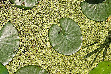 开炮游戏《PVKK》将亮相2025科隆游戏展