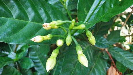 《幻想生活i》销量突破120万！官方表示会持续更新