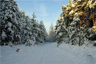  顽皮狗等前员工组建NEARstudios首作 《山楂树》预告
